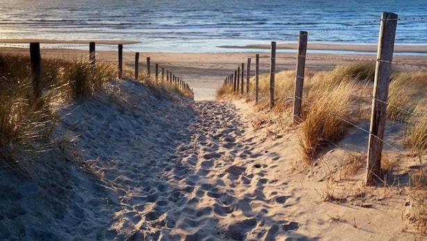 A sandy beach path leading to the ocean, bordered by wooden posts and grass.