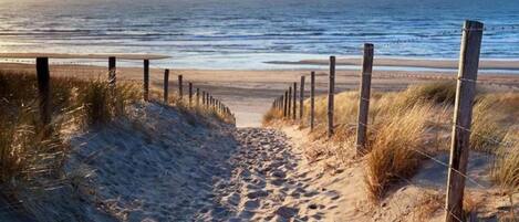 Casa | Vista da propriedade