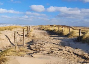 House | View from property - Dune Top Family Retreat (Bergen aan Zee)
