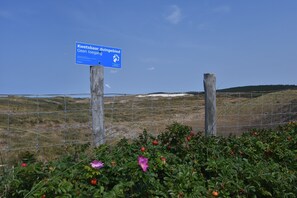 House | View from property - Dune Top Family Retreat (Bergen aan Zee)