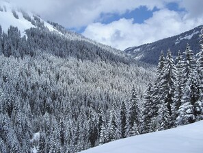 Exterior - The Luxurious La Gentiane Chalet and Four Minutes From the Village of Saint Jean Daulps (Saint-Jean-d'Aulps)