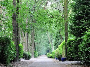 A tree-lined pathway in a forested area. - Villa in Parc de Kievit With Garden & Fireplace (Baarle-Nassau)