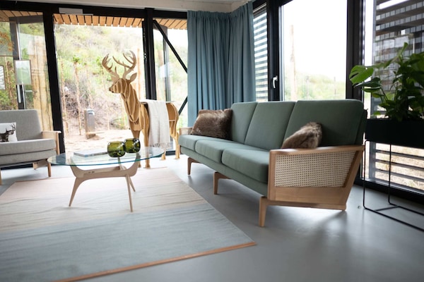 独立别墅 | 客厅