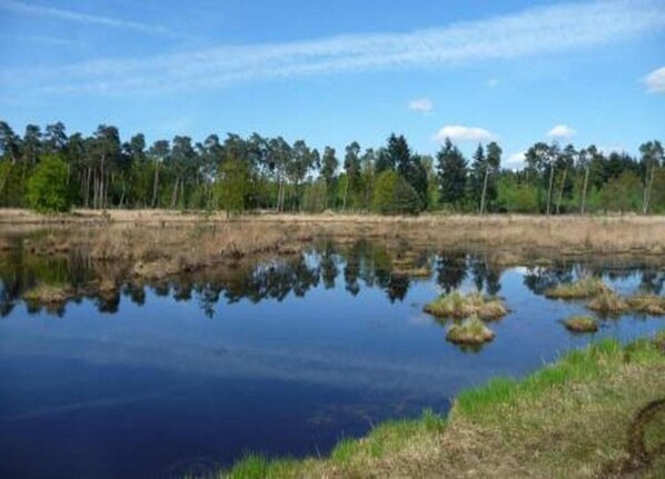 View from property - Chalet in Parc de Kievit With Private Garden (Baarle-Nassau)