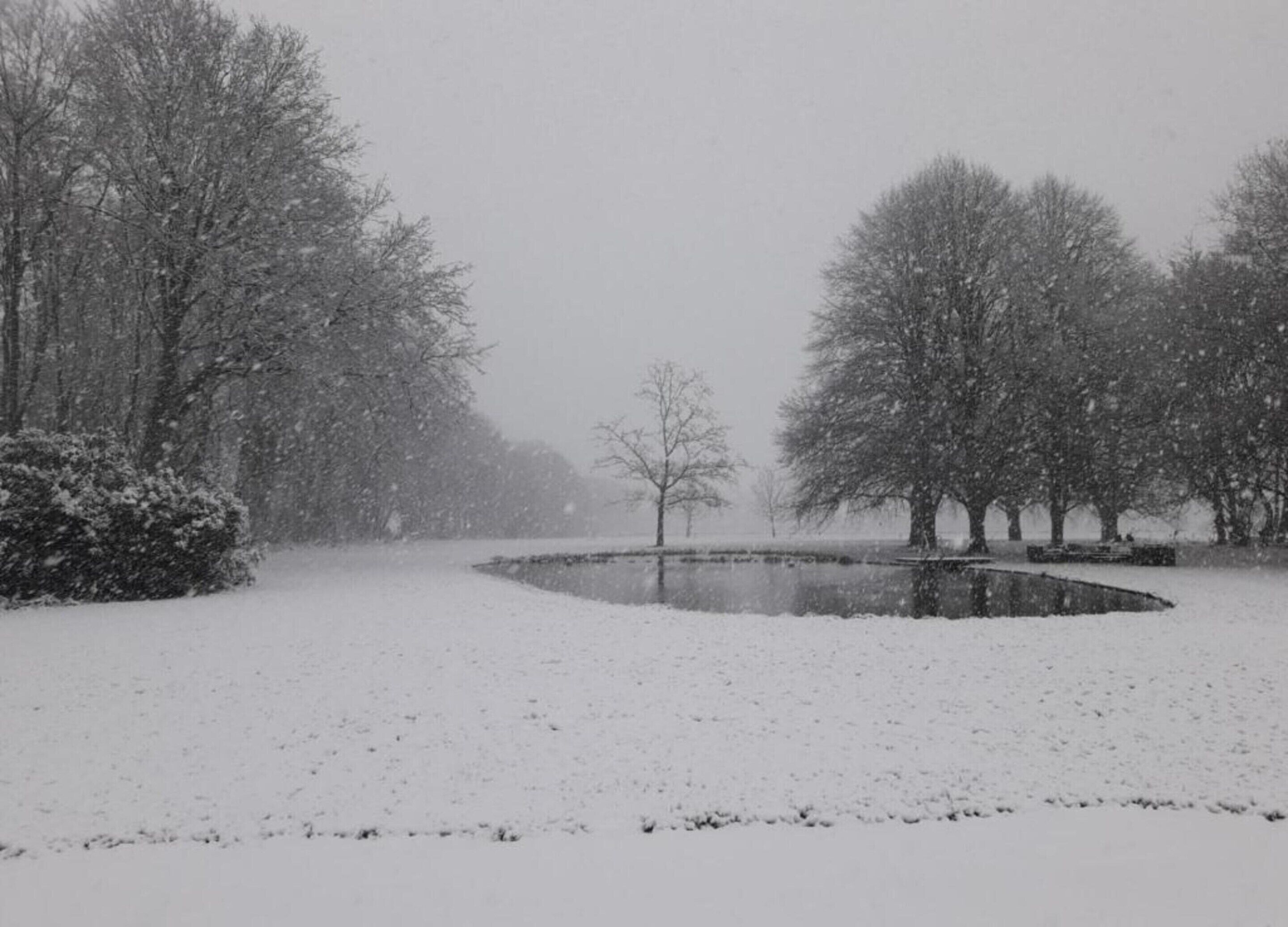 A snow-covered park with a pond, trees, and a bench.