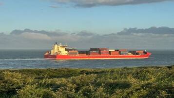 A large red cargo ship on the ocean.