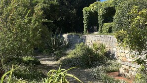 Un sendero en un jardín rodeado de diversas plantas y árboles.