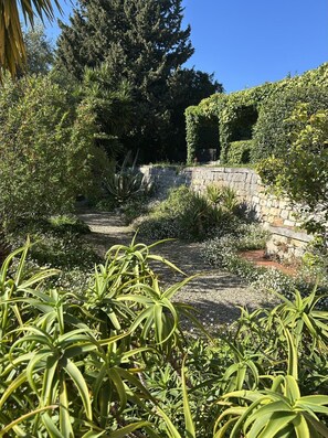 A garden pathway surrounded by various plants and trees. - 18thc Perfumer's Home, Heated Pool & View (Grasse)