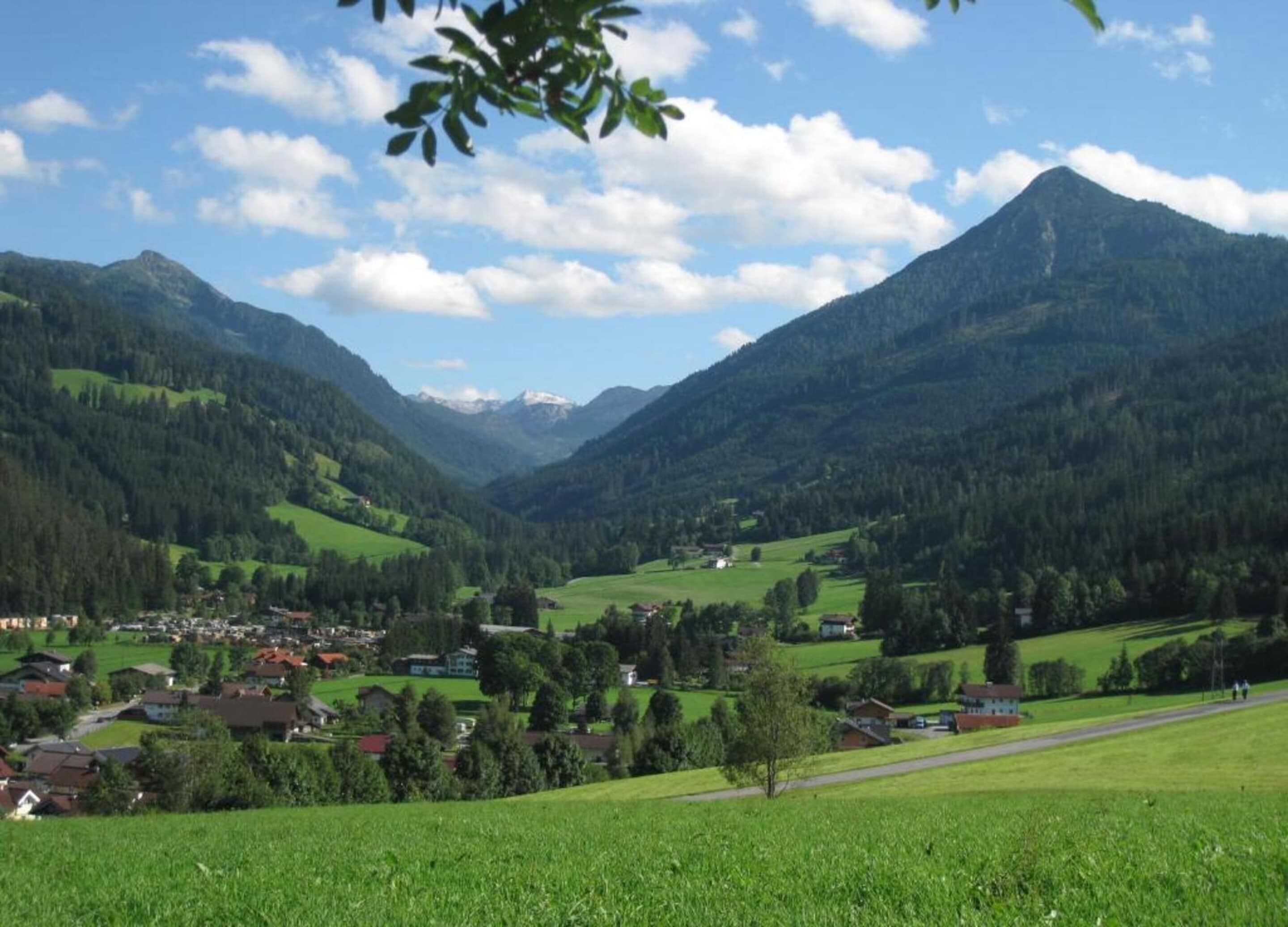 A valley with houses and a mountain in the background.