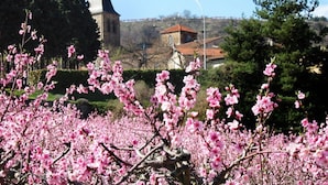 Exterior - Former Coach House in a Castle With Park Garden, Swimming Pool in North Ardeche (Saint-Prix)