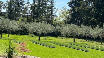 Villa | Garden