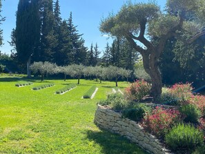 Un giardino curato con un muro in pietra, diversi alberi e un cielo sereno.