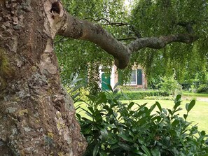 Garden - Holiday Home in Soerendonk With Garden (Soerendonk)