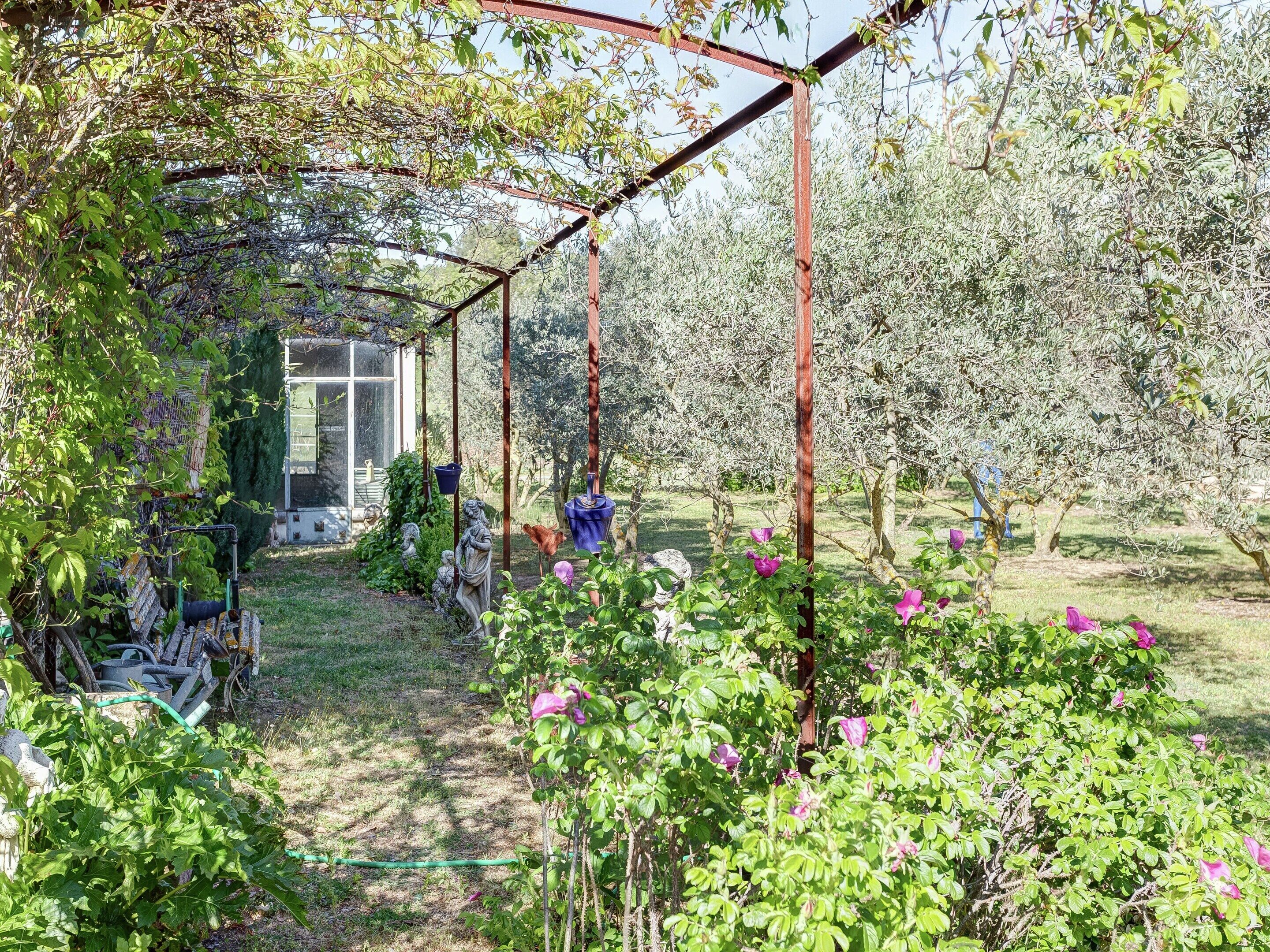 Cottage | Garden