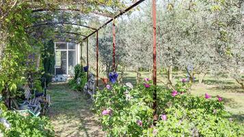 Cottage | Garden