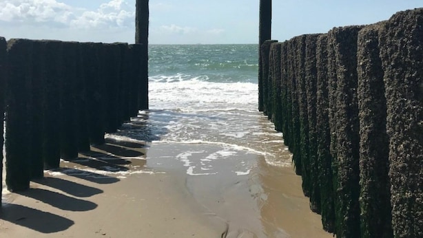 A beach with a pathway leading to the sea, flanked by stone walls. - Spacious Holiday Home in Oostkapelle (Oostkapelle)