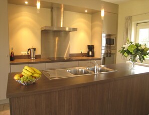 Mobile Home | Private kitchen - Holiday Home in Zuidzande With Sauna (Zuidzande)