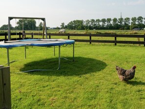 House | Garden - Holiday Home Near Lutjestrand Beach (Hippolytushoef)