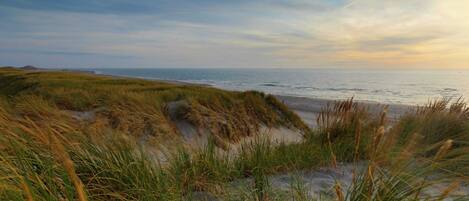 House | View from property