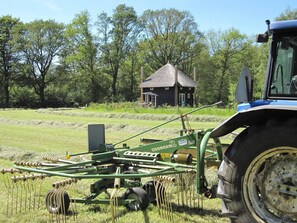 獨棟房屋 | 住宿景觀