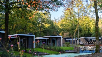 House | Property grounds