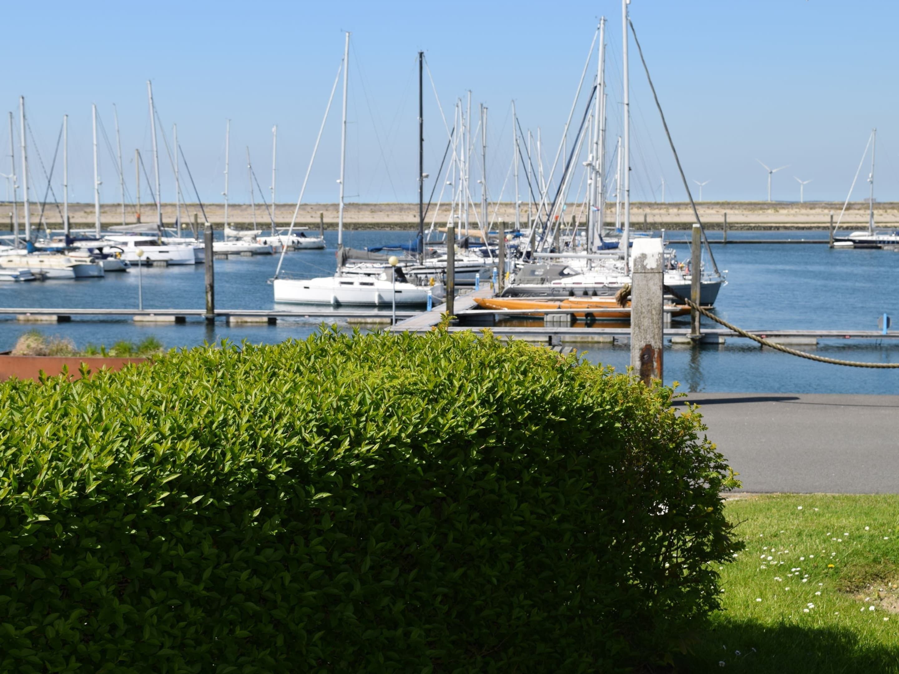 Een jachthaven met meerdere boten afgemeerd, een gazon op de voorgrond en een heldere lucht.