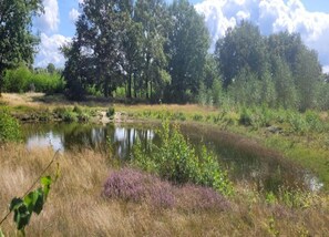 View from property - Villa in Netherlands With Sauna & Comfort (Uden)