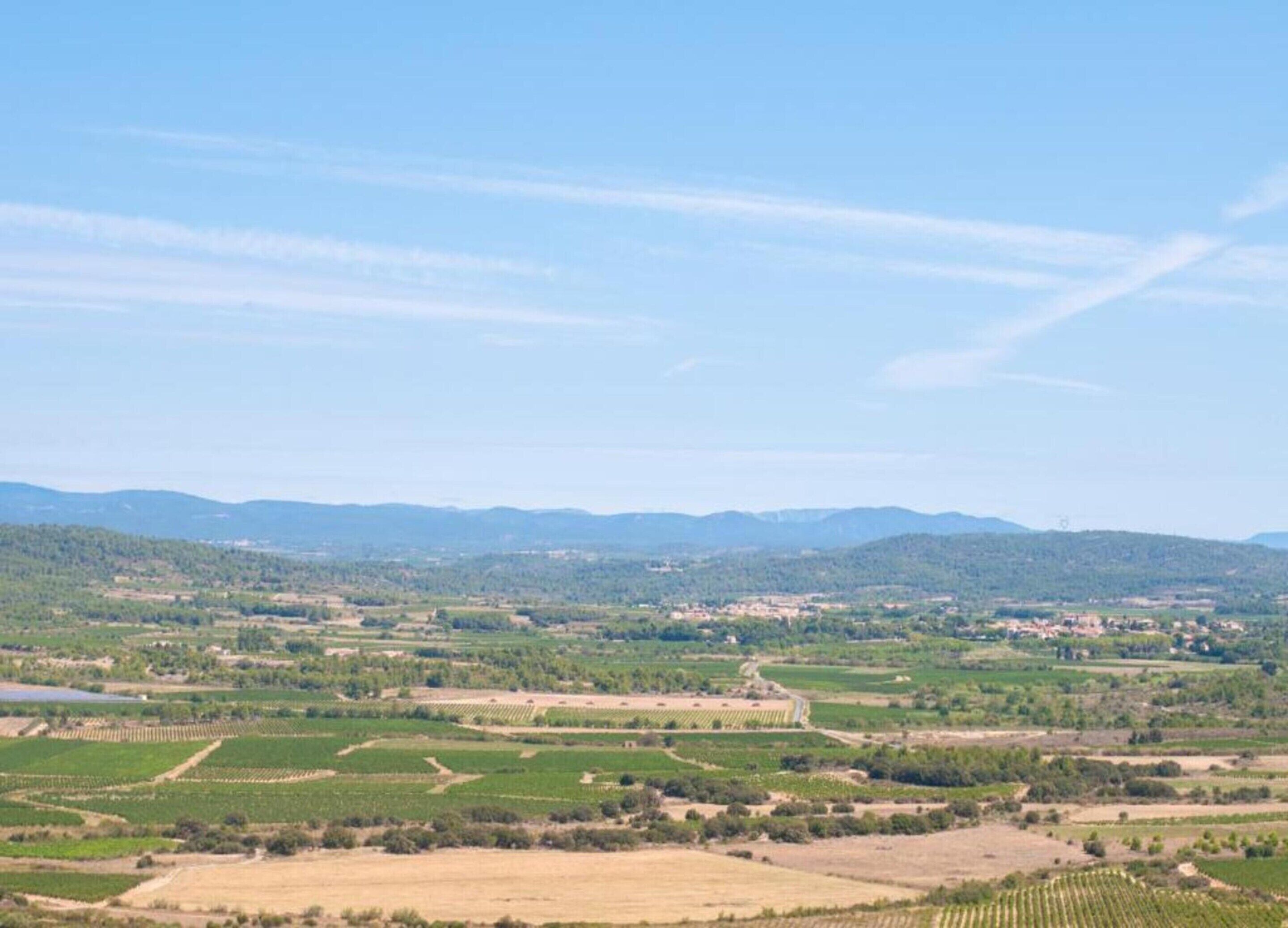 A rural landscape with fields, vineyards, and distant mountains under a clear sky.