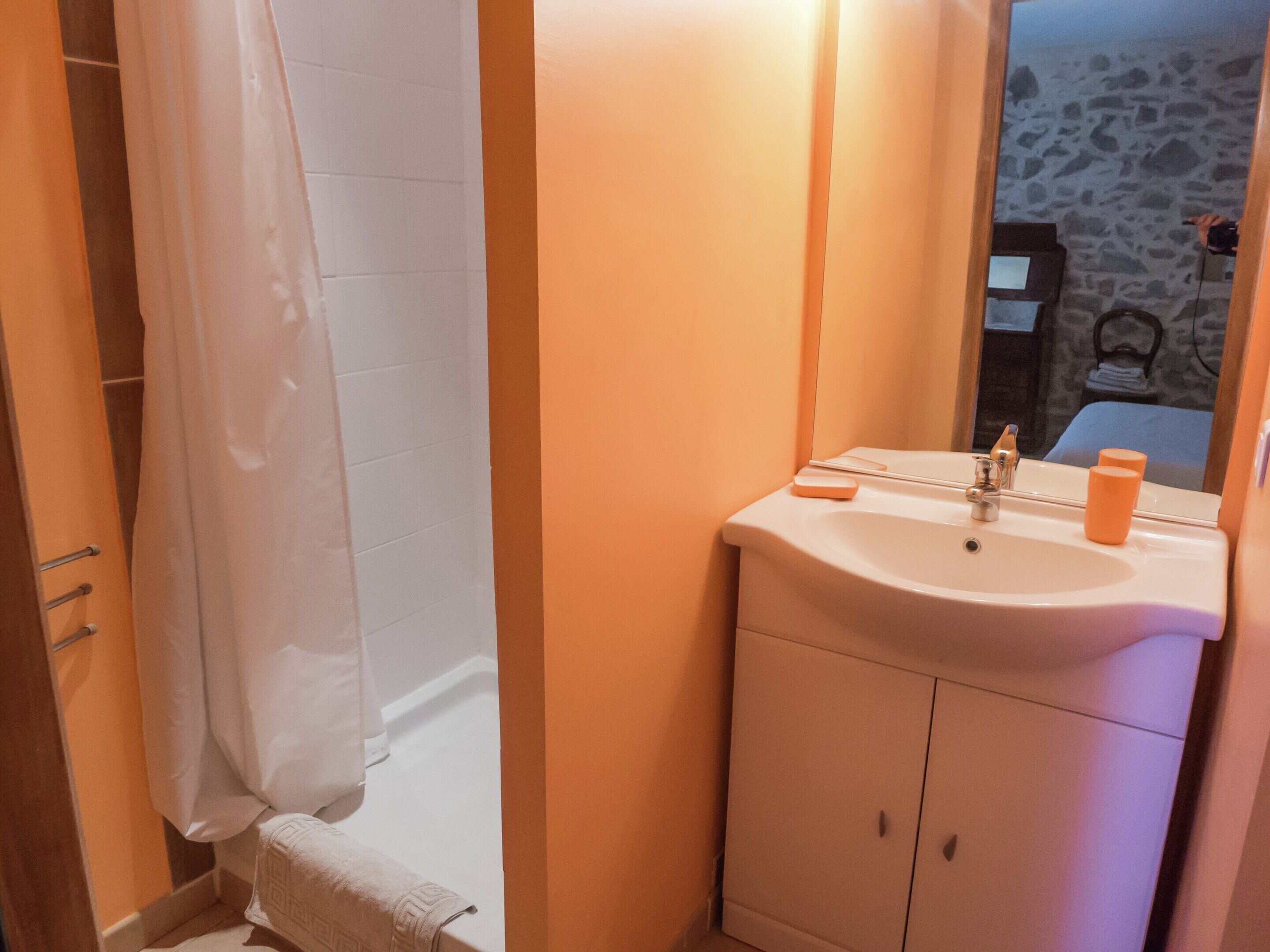 A bathroom with a shower, a sink, and a mirror.