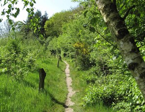 Talo | Näkymä majoituspaikasta