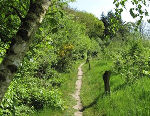 House | View from property