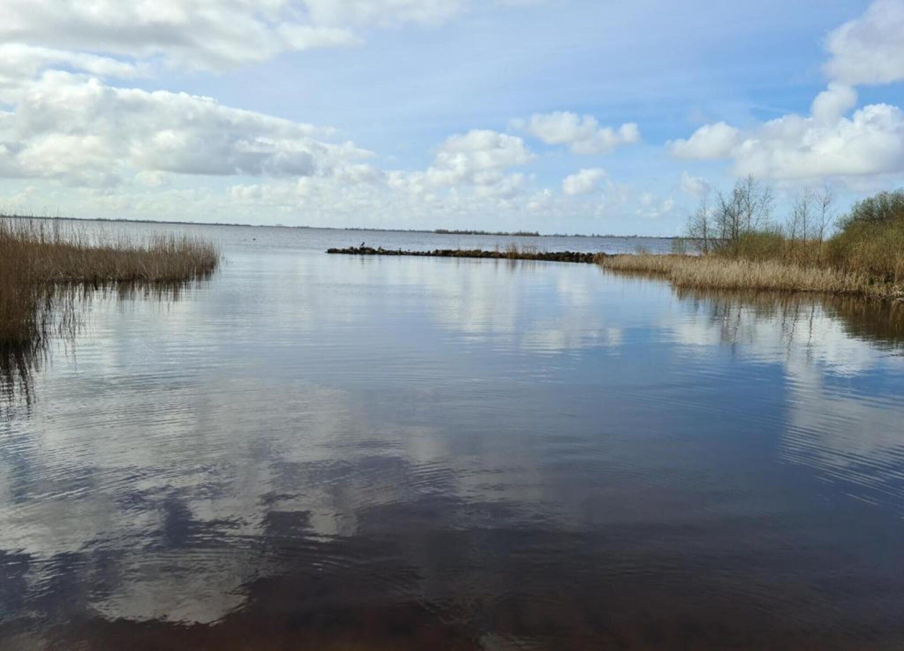 A calm body of water with reeds on the banks, a distant shoreline, and a partly cloudy sky.