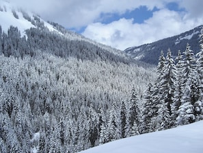 Exterior - The Luxurious La Gentiane Chalet and Four Minutes From the Village of Saint Jean Daulps (Saint-Jean-d'Aulps)