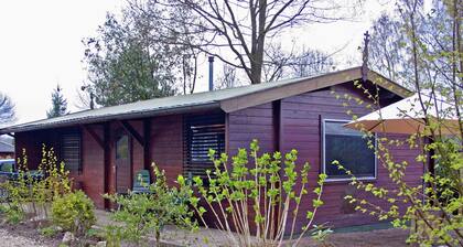 Tidy Chalet With a Microwave, in the Achterhoek