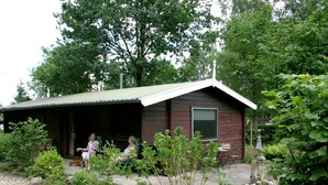 A rustic cabin with a covered porch, surrounded by lush greenery and a gravel path.
