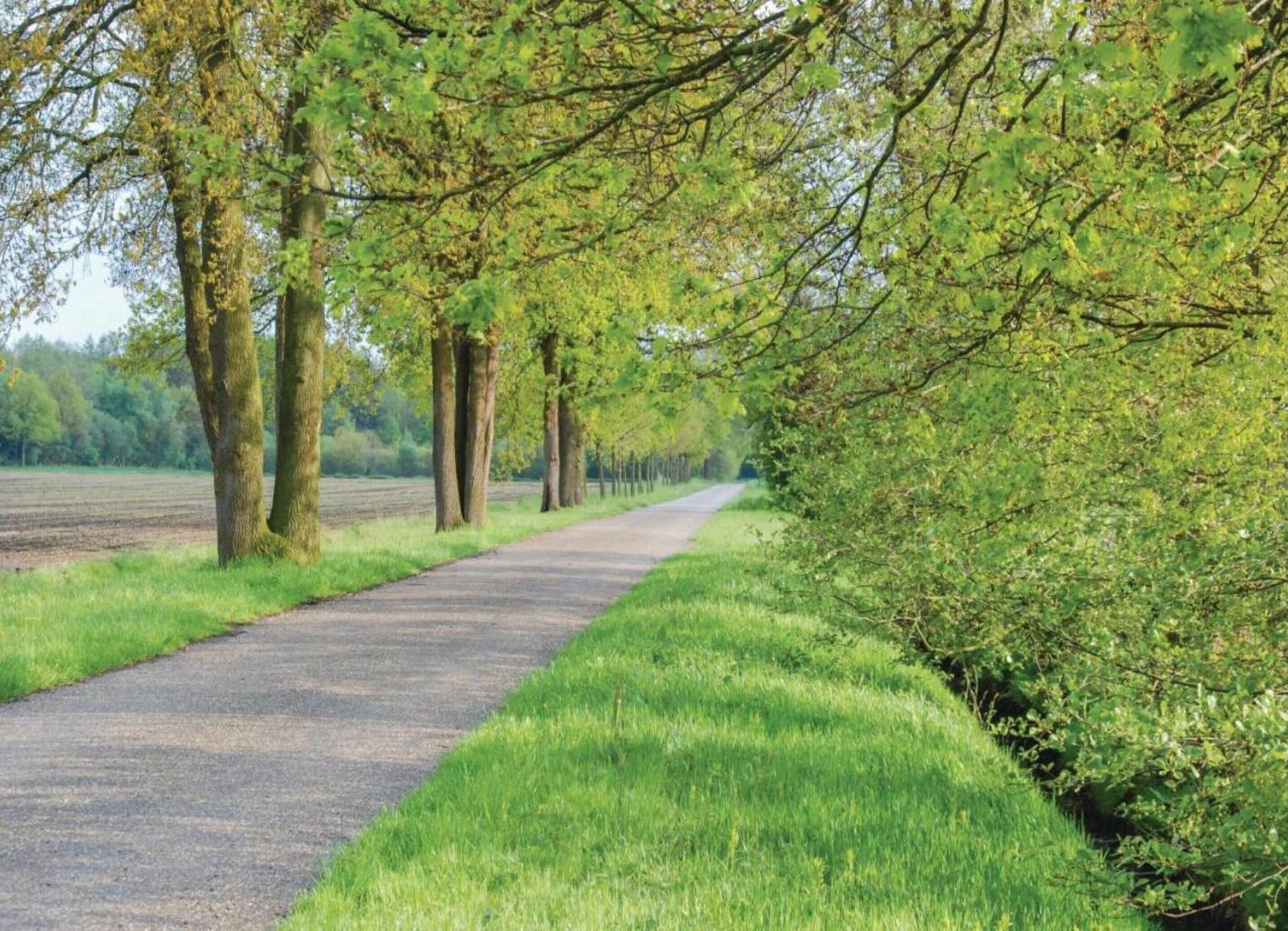 A paved pathway flanked by trees and grass, leading into a rural landscape.