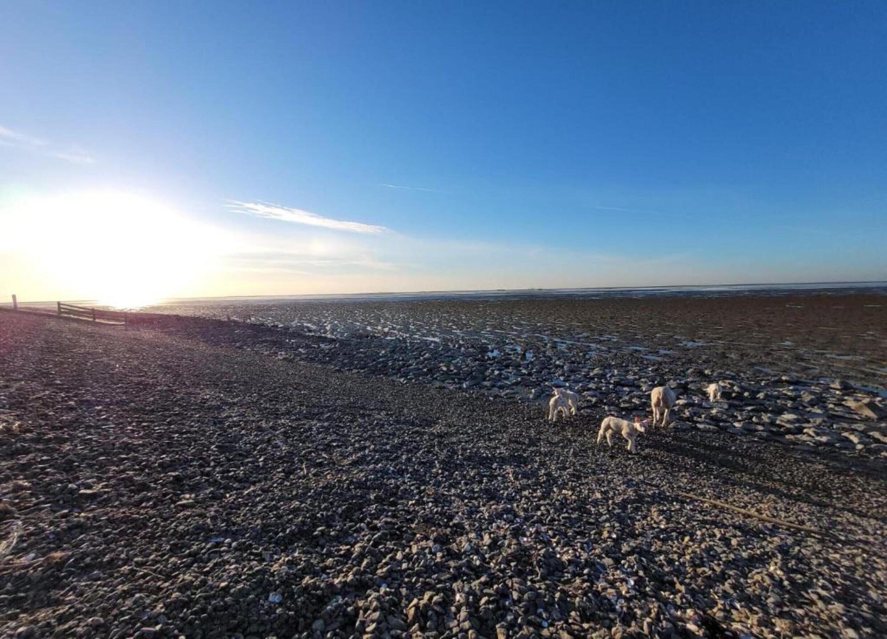 Vue depuis l’hébergement