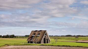 ๋น๋ผ | ์ธ๊ด