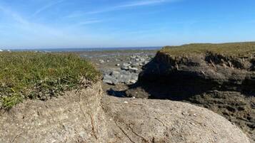 Eine felsige Landschaft mit vereinzelten Grashalmen und blauem Himmel.