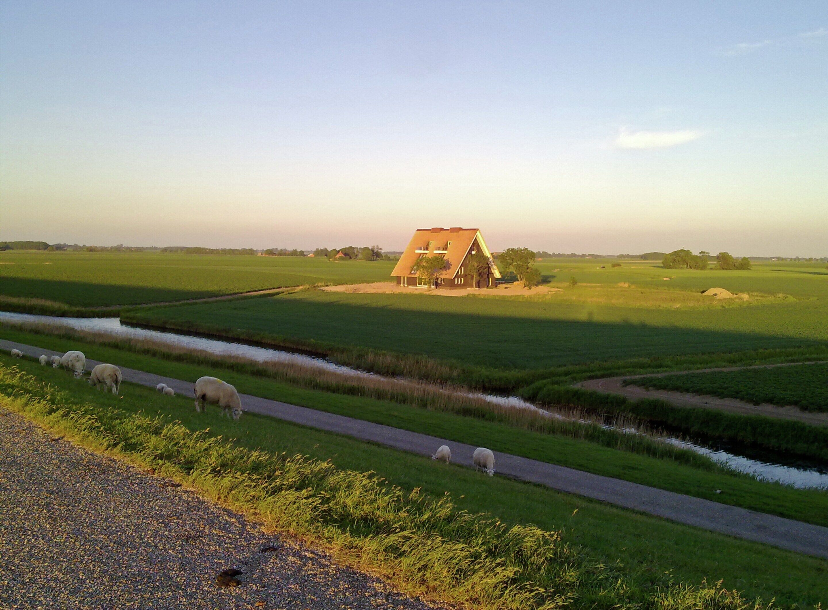 Un paisaje rural con una casa de campo, un camino estrecho y un arroyo.