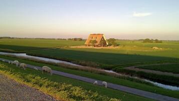 Un paisaje rural con una casa de campo, un camino estrecho y un arroyo.