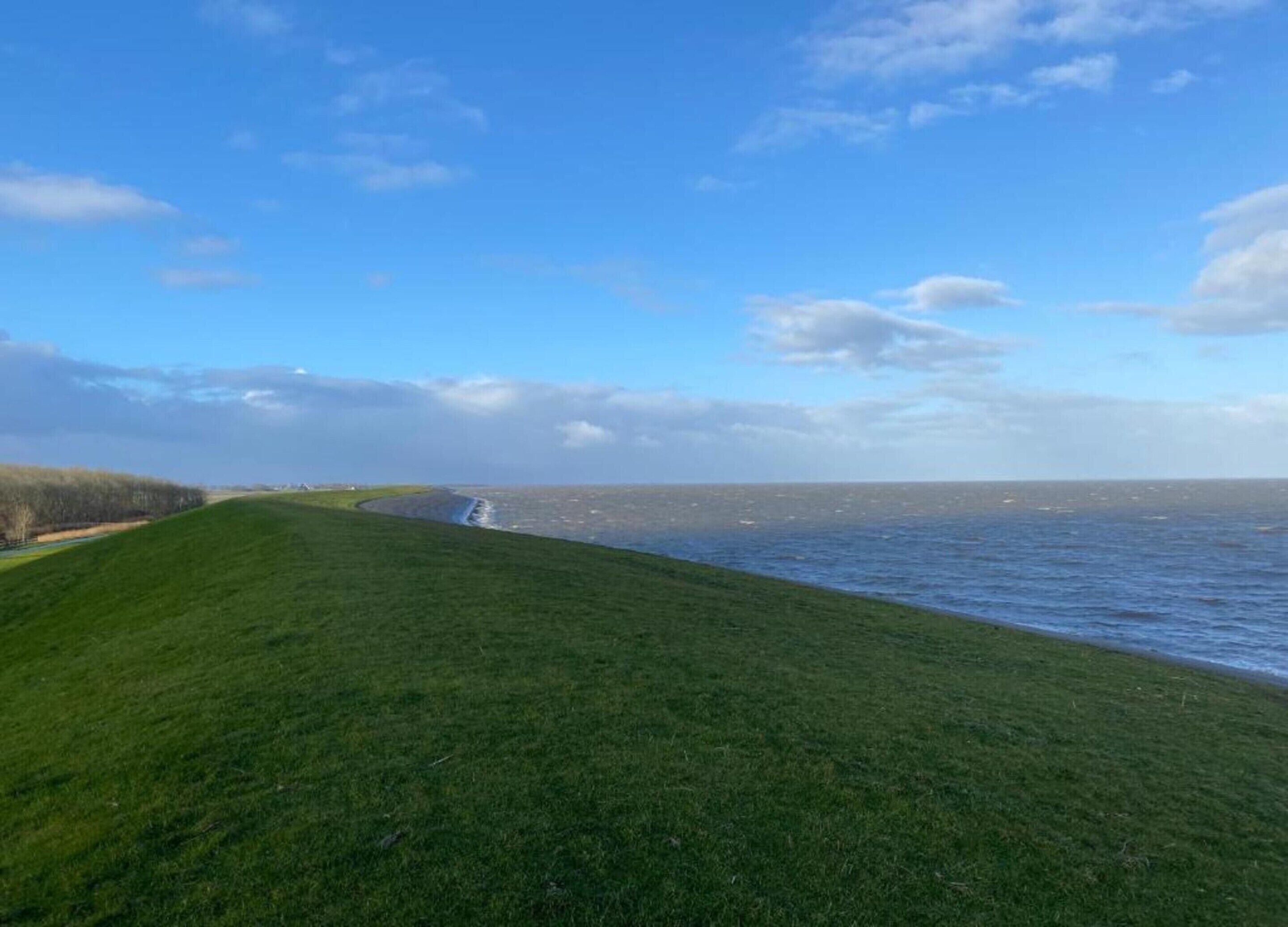 A grassy embankment leading to a body of water with a clear sky.
