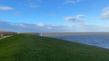 A grassy embankment leading to a body of water with a clear sky.