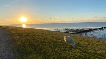 Villa | Utsikt från boendet