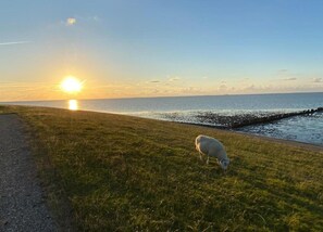 วิลล่า | วิวจากที่พัก