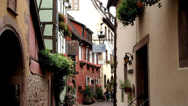 A narrow cobblestone street with buildings on either side, a reception sign for a hotel, and potted plants with flowers. - Apartment in Riquewihr With Terrace (Riquewihr)