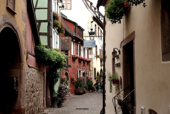A narrow cobblestone street with buildings on either side, a reception sign for a hotel, and potted plants with flowers. - Apartment in Riquewihr With Terrace (Riquewihr)