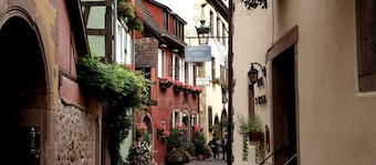 Apartment in Riquewihr With Terrace