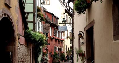 Apartment in Riquewihr With Terrace