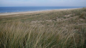 A beach with dunes and the ocean in the background.